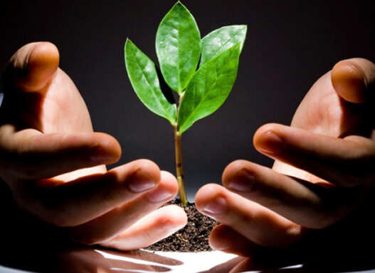 capital-investment1 copy