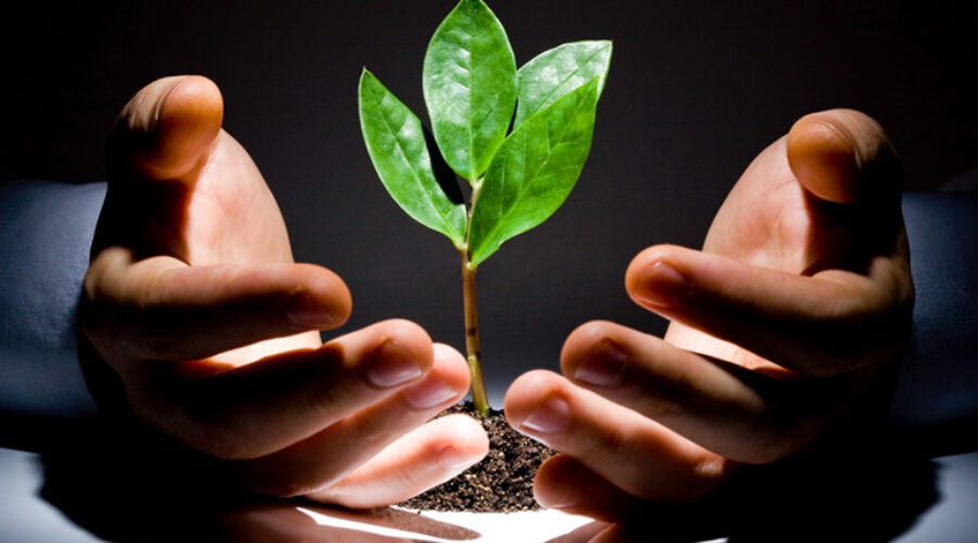 capital-investment1 copy