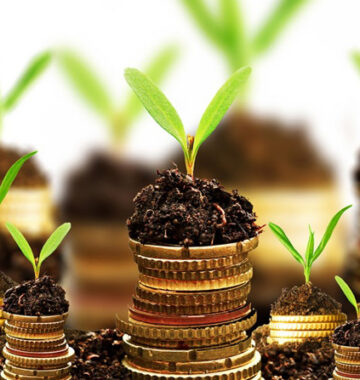 capital-investment2 copy