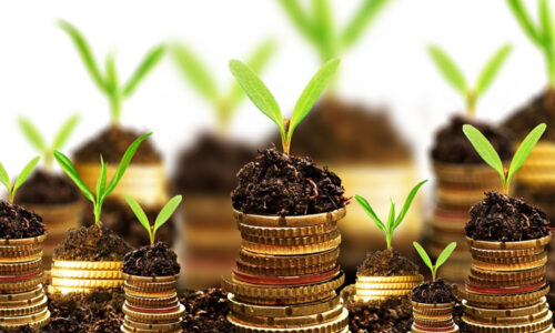 capital-investment2 copy